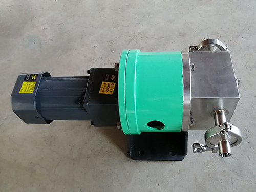 不鏽鋼(gang)齒輪計(ji)量泵