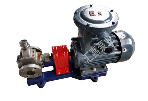 防(fang)爆不鏽(xiu)鋼圓弧(hu)齒輪泵(beng)
