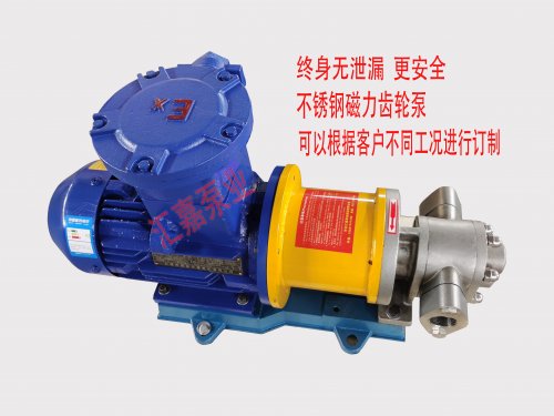 <b>磁力(li)齒輪(lun)泵和(he)常規(gui)齒輪(lun)泵的(de)區别(bie)有哪(na)些？</b>